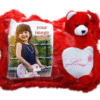 Sublimation Teddy Bear Cushion 2 Sublimation Teddy Bear Cushion