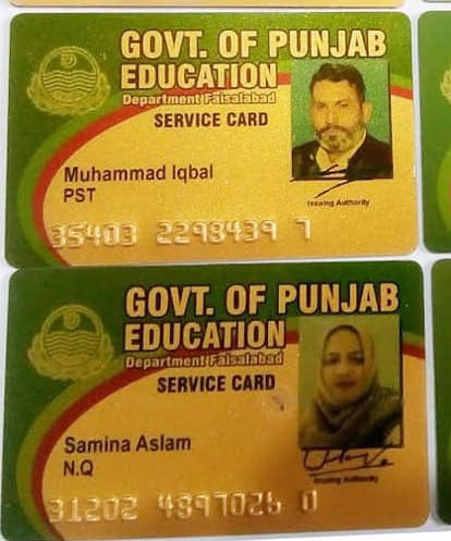 PVC Cards Printing 7 PVC Golden ID Cards Printing
